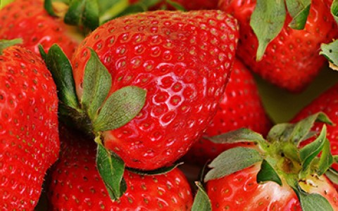 California Strawberry Festival