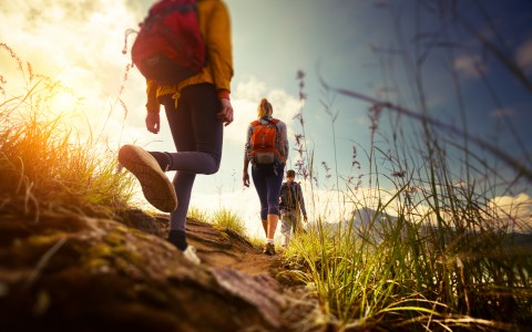 shutterstock_208356901-55cb84e8c4d0d.jpg
