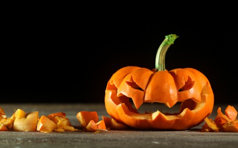 shutterstock_221486104-56279a2a1d12d.jpg