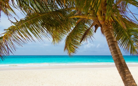 beach beautiful blue coast