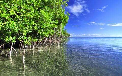 shutterstock_128066975.jpg