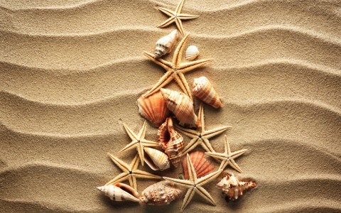 shutterstock_166409399-564a5bc2567ad.jpg
