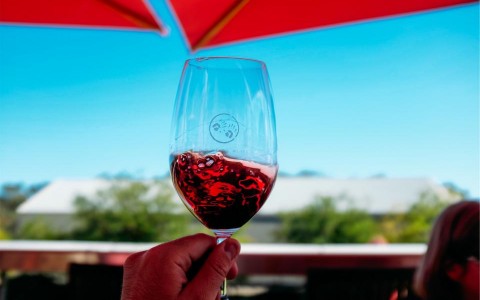 wine-57f13d0cd5313.jpg