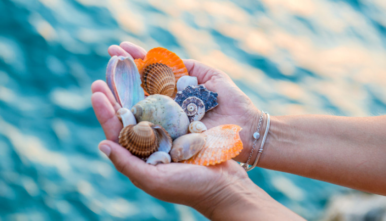 woman holding seashells