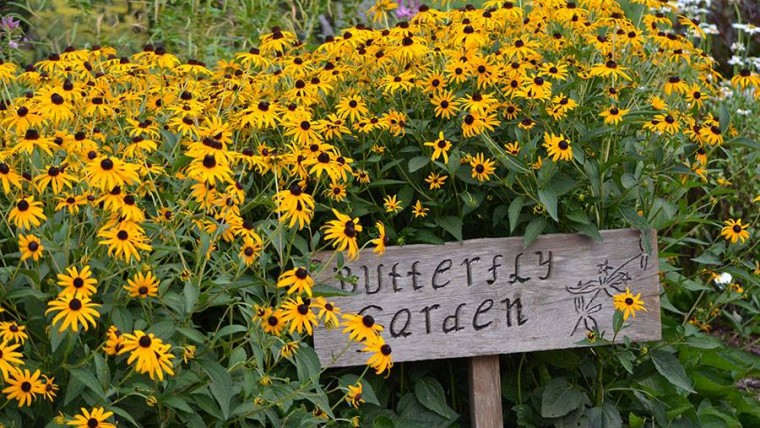 Breeze into a Beautiful Botanic Garden