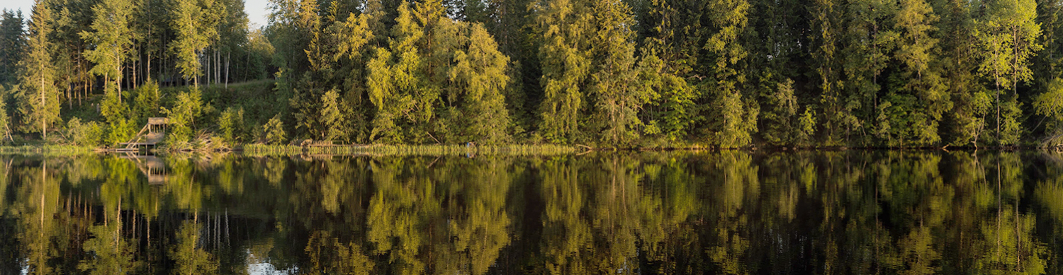 The Lake at Barnsley Resort