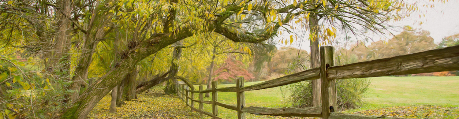 Barnsley Header wood fence