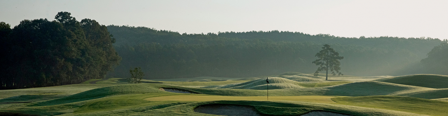 Barnsley Header golfing landscape