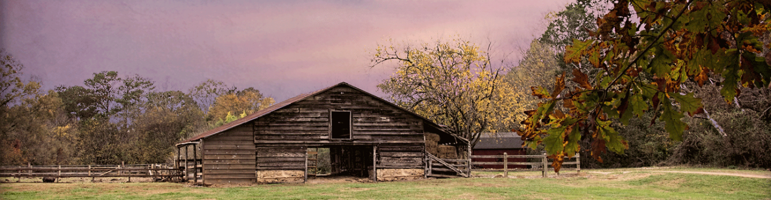press page header image