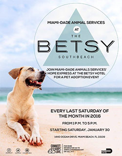 miami-dade animal services at the Betsy