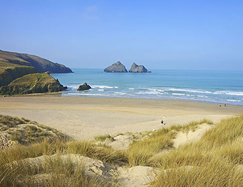 Bodega Dunes