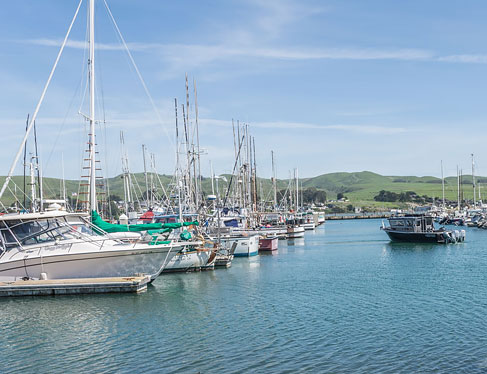 Bodega Harbor