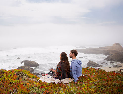 Bodega Head