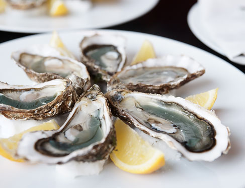 Oysters with lemon wedges on plate