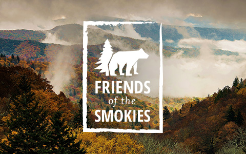 Explore The Smokies