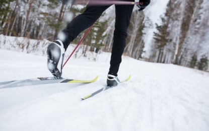 shutterstock_243199279.jpg