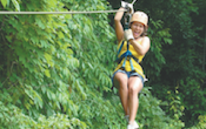 TreeTop Adventures