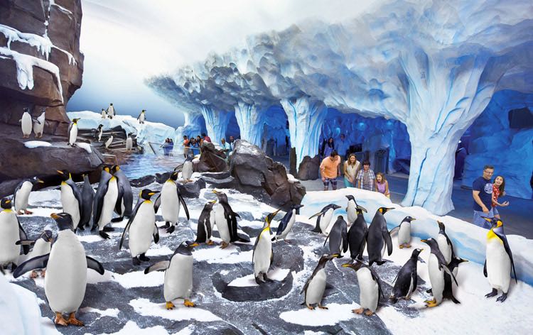 Official SeaWorld Resort Inset