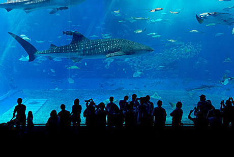 South Carolina Aquarium