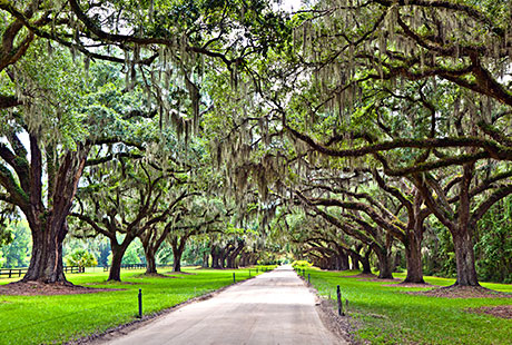 Boone Hall