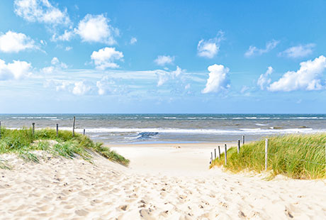 Sullivan's Island