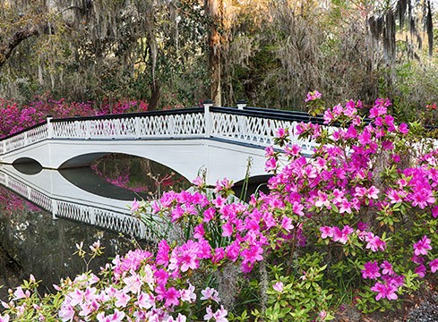 Plantations & Gardens