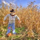 Scarecrow