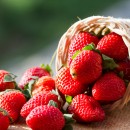 strawberry-festival