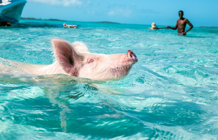 True Exuma Experience