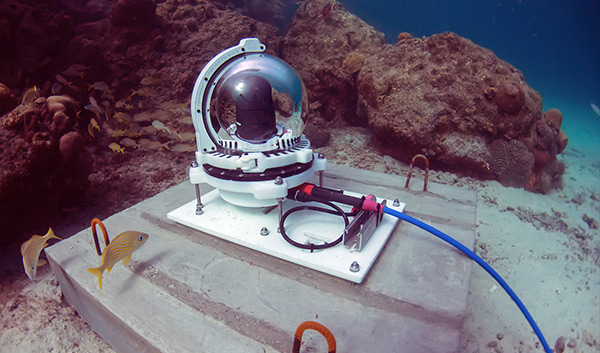 Reef Cam
