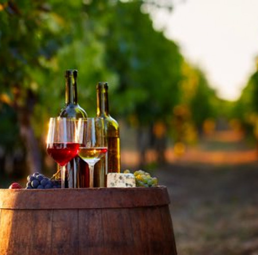 Wine bottles with glasses on top of barrel in the middle of vineyard