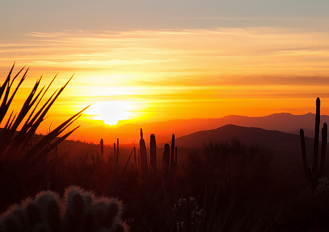Scottsdale