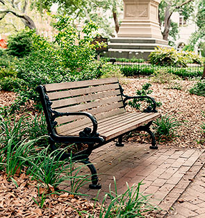 Forrest Gump's Famous Bench