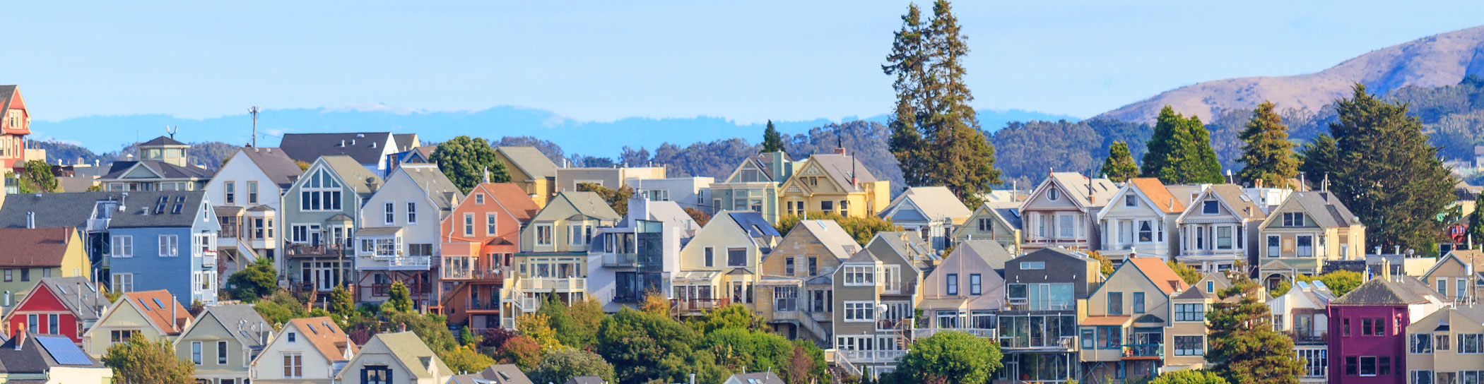 San Francisco Staff Picks