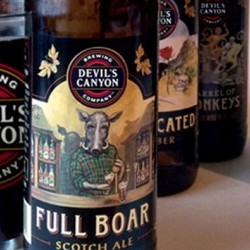 Devil's Canyon Brewing Company