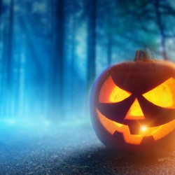 pumpkin-56043de025fa3.jpg