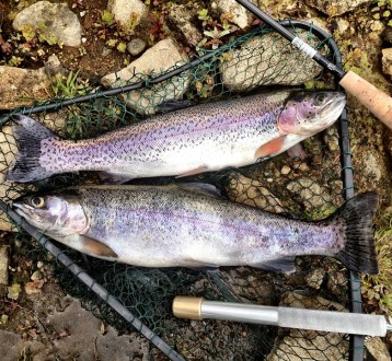 A Father's Day Fishing Getaway