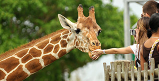 Brevard Zoo