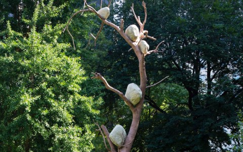 Madison Square Park