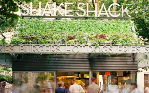 Shake Shack