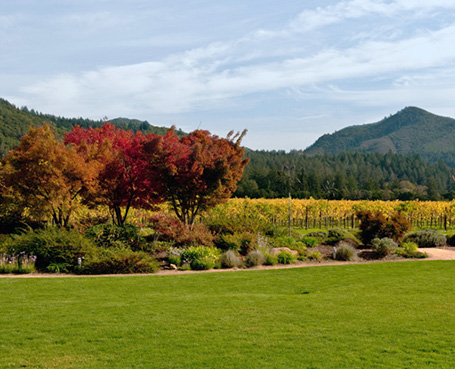 Yountville Image
