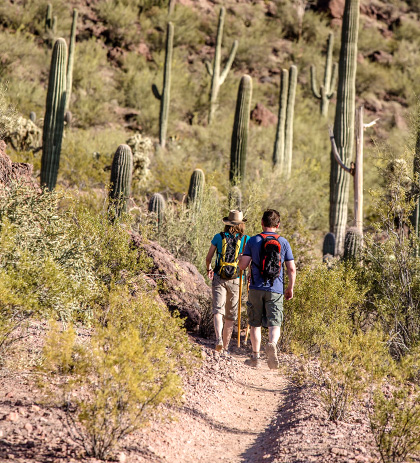 Hiking Tours Image