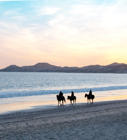 Horseback Riding Image
