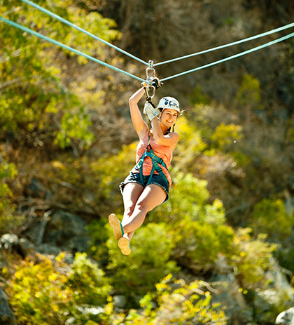 Canopy Tour Image