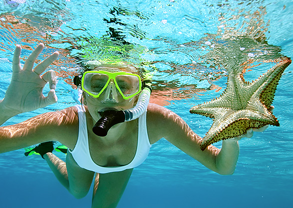 Snorkeling Inset