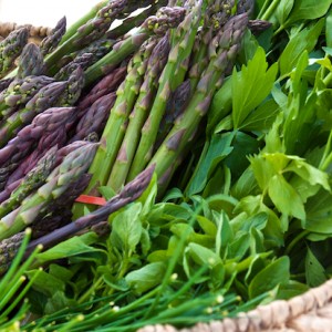 Farmers-Market-asparagus.jpg
