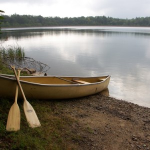 shutterstock_1720786-5733aa533b500.jpg