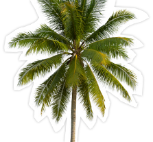 Surfside Hotel|Check-In & Check Us Out!