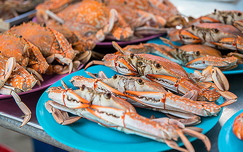Little River Blue Crab Festival