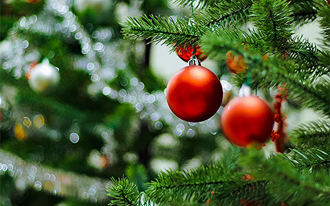 Festival of Trees